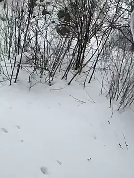 desiredude9 online show from January 6, 8:18 am