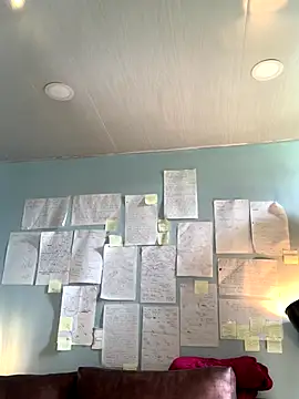 Canneela online show from December 3, 6:10 pm