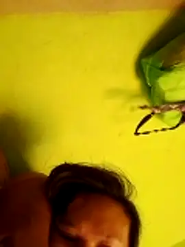 pussywet 08 online show from May 31, 11:17 pm