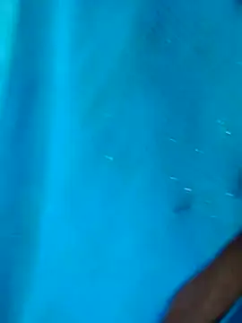 Angel0731 online show from March 6, 8:48 pm