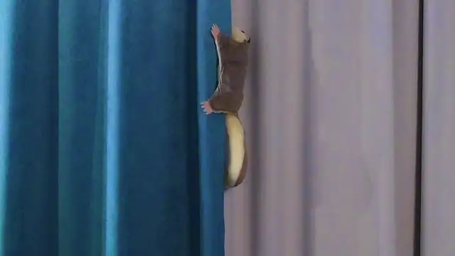 AngelicRice online show from October 20, 12:30 pm