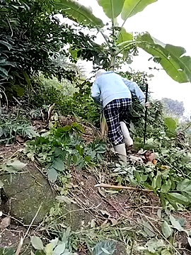 Tin tanny online show from January 8, 3:21 am