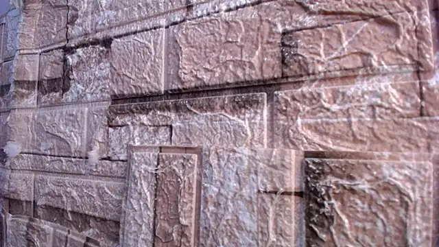 Bicky 24 online show from March 2, 7:59 am