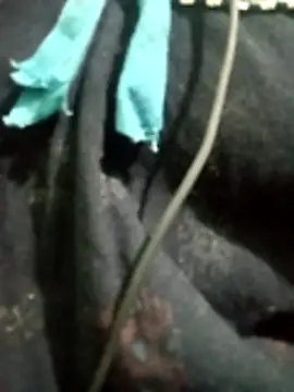 Telugu hot cpl online show from December 16, 5:52 pm