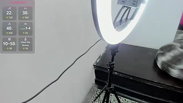 TransDoll09 online show from October 14, 6:43 pm