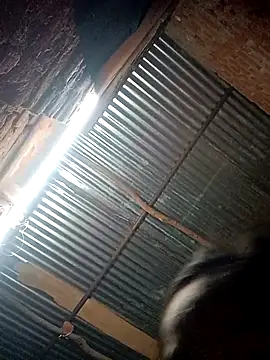 Suman ji1 online show from October 12, 10:56 pm