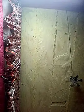 Suman ji1 online show from November 3, 2:21 pm