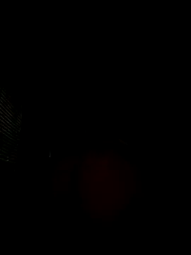 squirtmedaddy online show from December 1, 2:15 am