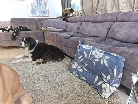 Alexis21821 online show from December 4, 9:00 am