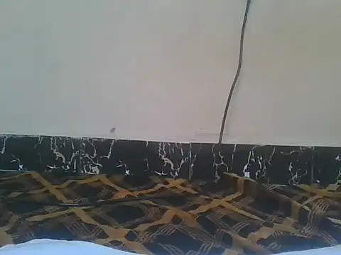 Naughty queen20 online show from April 13, 7:42 am