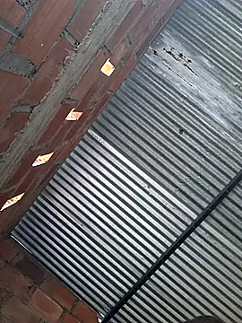 young dairy01 online show from February 24, 2:27 pm