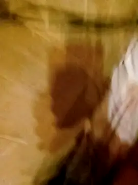 Apeesynka55211 online show from March 11, 9:17 pm