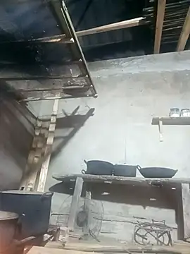 cogaisexy online show from November 6, 10:54 am