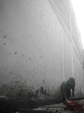 meo-meo00 online show from November 9, 3:13 am