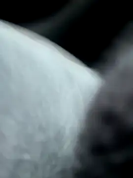 pleasedontpressaredburton online show from October 14, 2:30 pm