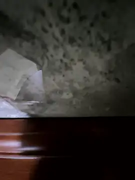 Lili 2love online show from January 9, 1:04 pm