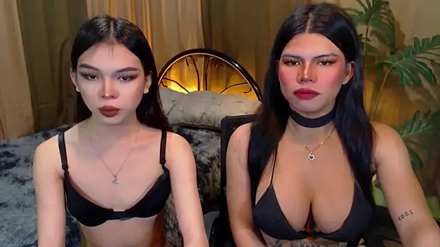 TWINKTRANSSHANEL online show from October 18, 10:18 am