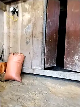 sumaybae online show from April 9, 6:05 am