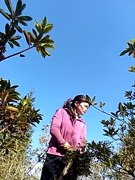 siusiu-00 online show from December 19, 2:59 am