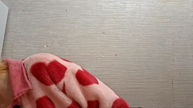 AstraVale online show from November 3, 8:18 am