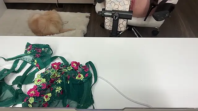 Amberjayxox0 online show from February 12, 12:34 am