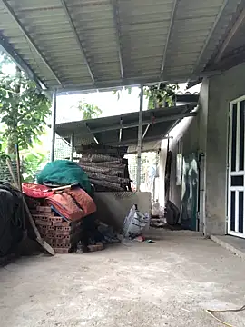 Kylie beem online show from April 1, 2:56 am