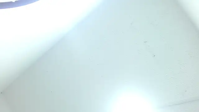 aanacaro as online show from November 17, 12:28 pm