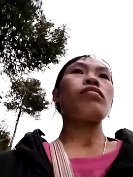 dinnavi online show from October 29, 10:41 am