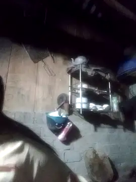 Noelle-e online show from March 30, 12:49 pm