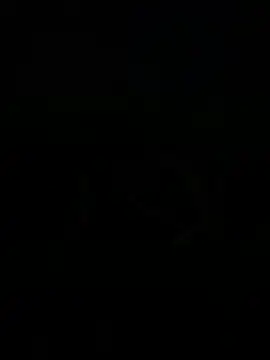 WildNour online show from April 1, 2:14 pm