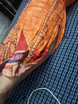 Haryanvi sanju online show from December 20, 4:00 pm