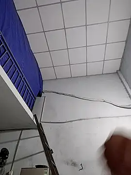 Liveryta online show from November 21, 10:28 am