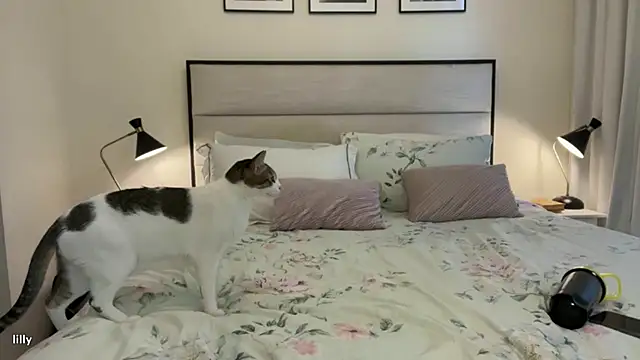 Itslillybloom online show from November 14, 4:23 am