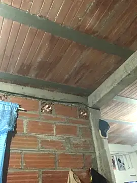 Megan2026 online show from November 16, 12:56 am