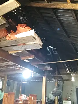 bibo-sex online show from November 26, 5:41 am