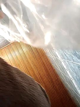 Dahianahotx69 online show from November 21, 12:29 pm