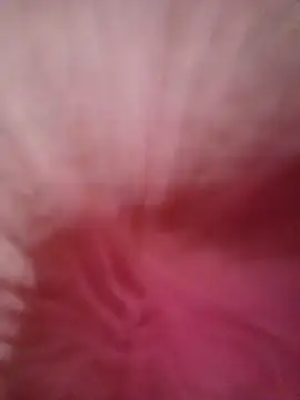 Chloe 2-4 online show from November 15, 10:44 pm