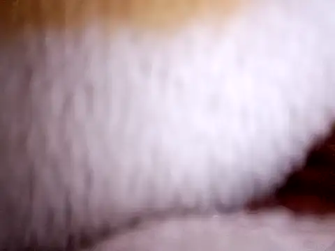 blonde blg online show from February 28, 2:27 pm