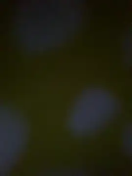 Doha-38 online show from July 3, 9:43 pm