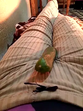 Tota sexi online show from December 2, 1:02 pm