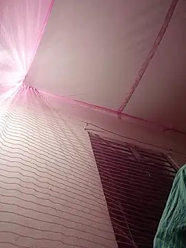 Hor-reka online show from November 23, 4:52 pm