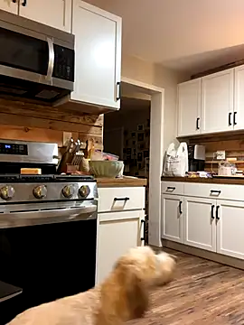 Snapshot of winestaindlips chatting on November 29, 2:48 am winestaindlips online show from November 29, 2:48 am