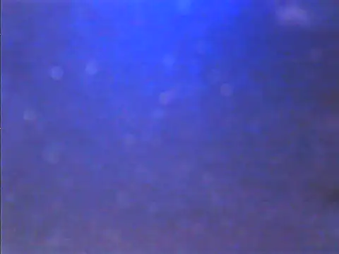 Sweet dove05 online show from November 26, 4:46 am