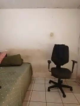 theyllorwillian online show from February 20, 1:12 pm