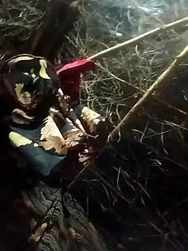 Karisma ji online show from January 19, 2:46 pm