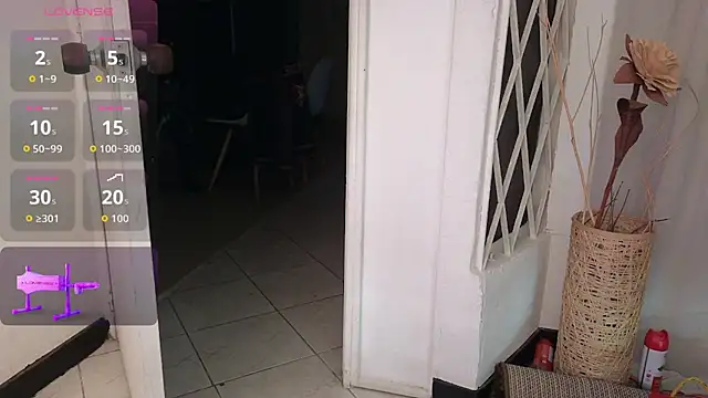 Saly Moon1 online show from December 13, 8:48 pm