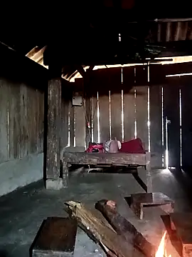 ava-dellght online show from January 7, 2:15 am