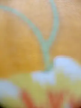 Hooghlypinkivabi online show from February 20, 2:29 pm