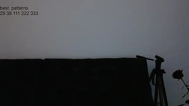 hey shinyy online show from January 13, 1:15 pm