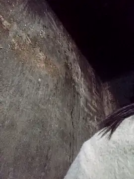 dakota-kis online show from February 1, 11:58 pm